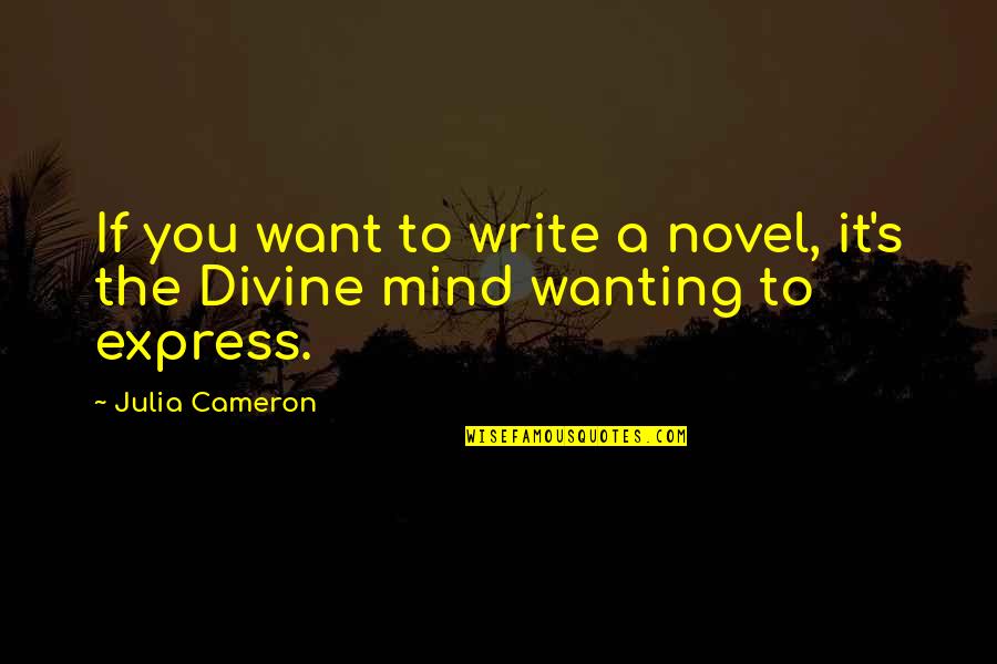 Apreciaran Quotes By Julia Cameron: If you want to write a novel, it's