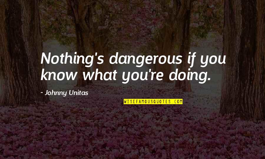 Aprendizado Quotes By Johnny Unitas: Nothing's dangerous if you know what you're doing.