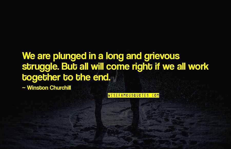 Apreo Quotes By Winston Churchill: We are plunged in a long and grievous