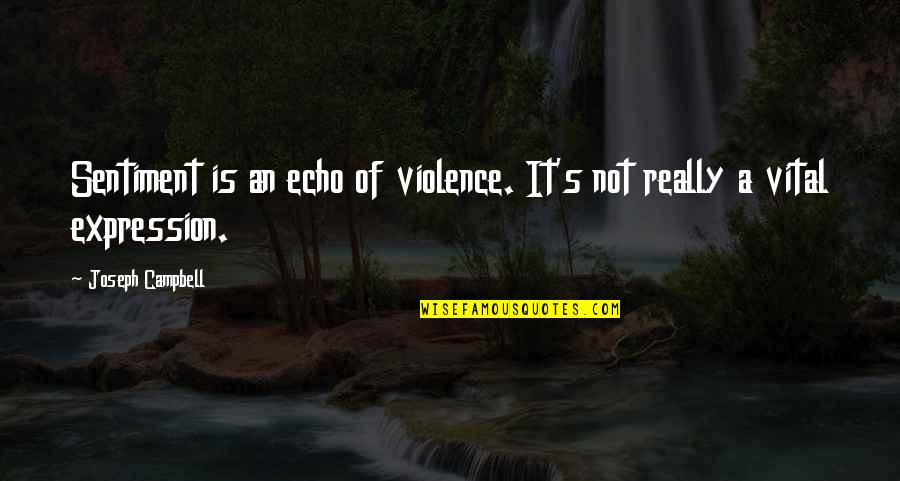 Apreo Sem Quotes By Joseph Campbell: Sentiment is an echo of violence. It's not