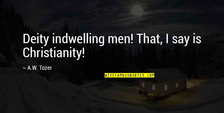 Apretando Cobija Quotes By A.W. Tozer: Deity indwelling men! That, I say is Christianity!