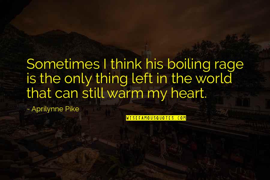 Aprilynne Quotes By Aprilynne Pike: Sometimes I think his boiling rage is the