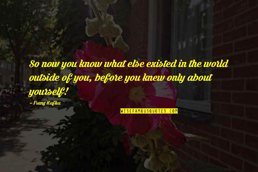 Apron Full Of Beans Quotes By Franz Kafka: So now you know what else existed in