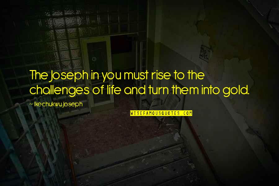 Aprovechamiento Quotes By Ikechukwu Joseph: The Joseph in you must rise to the