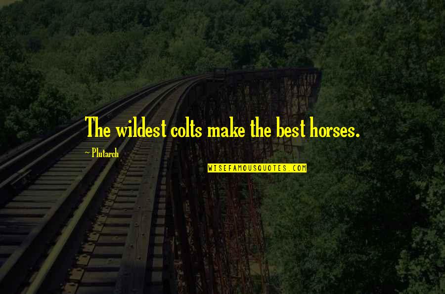 Apsolutna Nula Quotes By Plutarch: The wildest colts make the best horses. Apsolutna Nula Quotes By Plutarch: The wildest colts make the best horses.