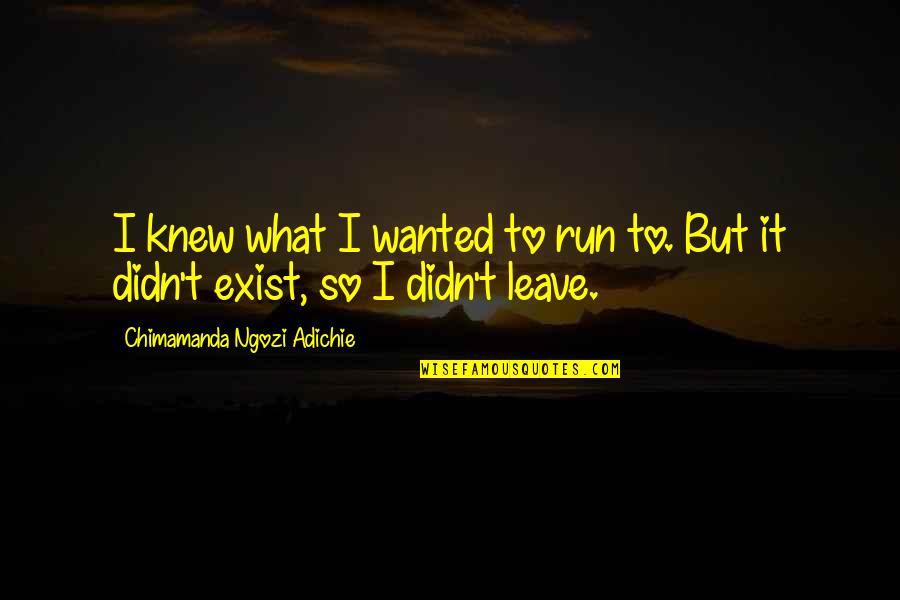 Aptal Quotes By Chimamanda Ngozi Adichie: I knew what I wanted to run to.