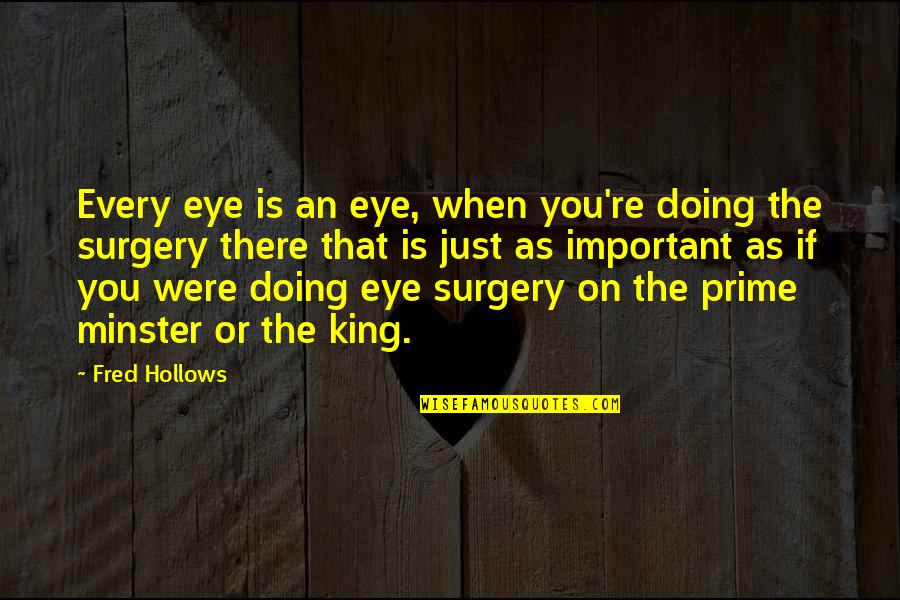 Apuakea Rain Quotes By Fred Hollows: Every eye is an eye, when you're doing Apuakea Rain Quotes By Fred Hollows: Every eye is an eye, when you're doing