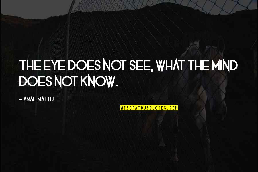 Apurado Quotes By Amal Mattu: the eye does not see, what the mind