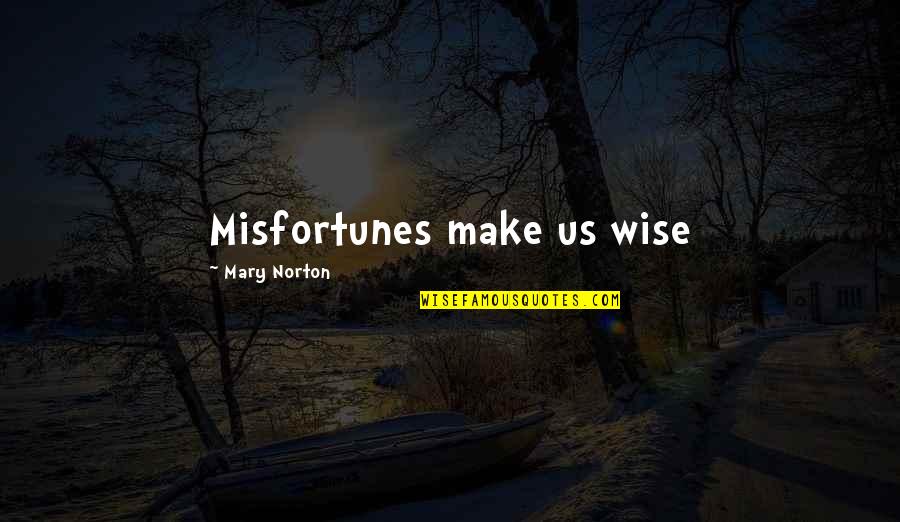 Apuri Rijeka Quotes By Mary Norton: Misfortunes make us wise
