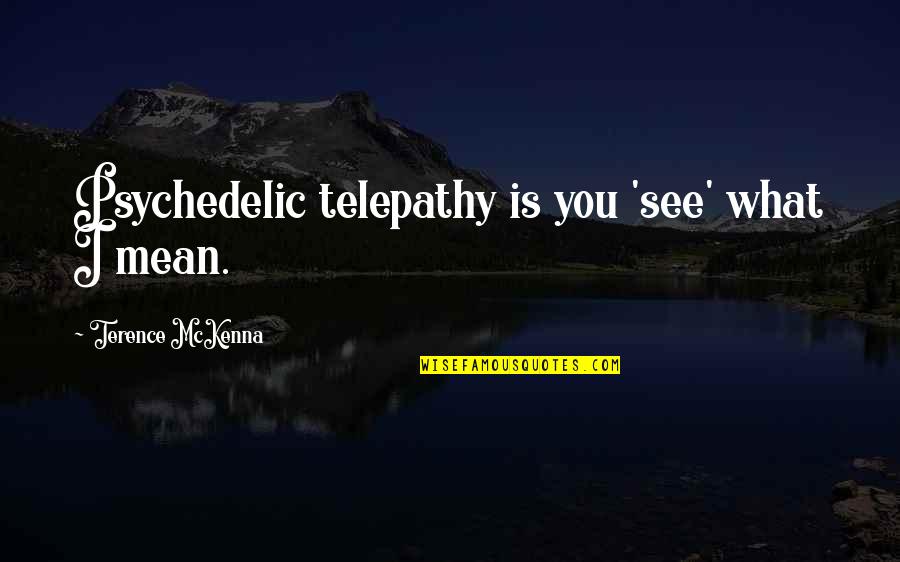 Aqua Mix Quotes By Terence McKenna: Psychedelic telepathy is you 'see' what I mean.