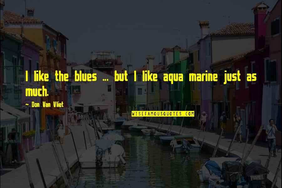 Aqua Quotes By Don Van Vliet: I like the blues ... but I like