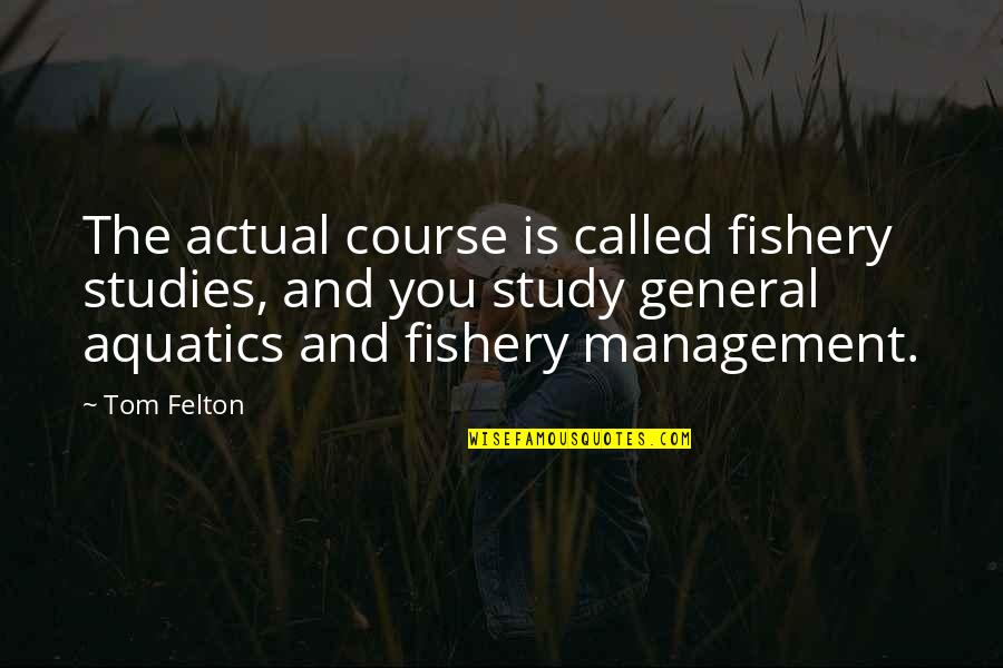 Aquatics Quotes By Tom Felton: The actual course is called fishery studies, and