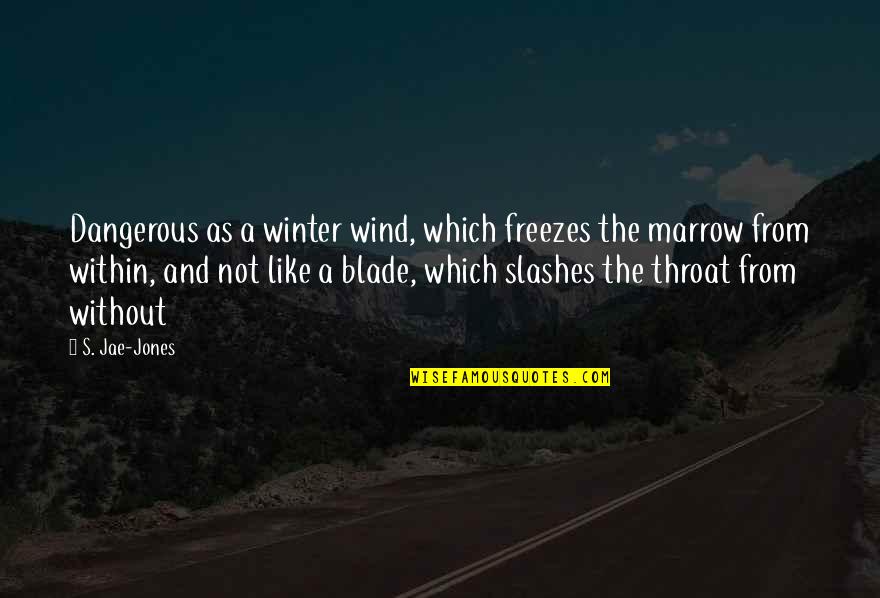 Aquire Quotes By S. Jae-Jones: Dangerous as a winter wind, which freezes the