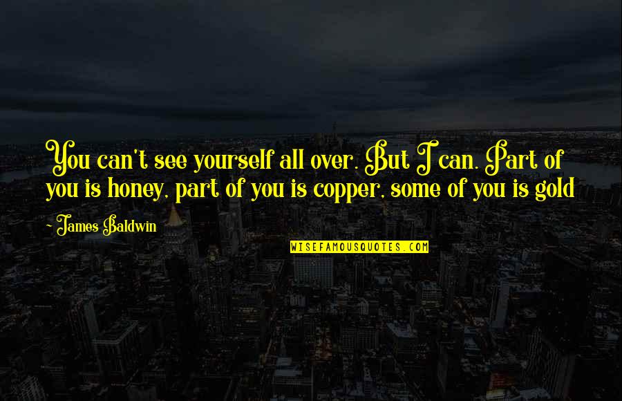 Aqwal E Zareen Urdu Quotes By James Baldwin: You can't see yourself all over. But I