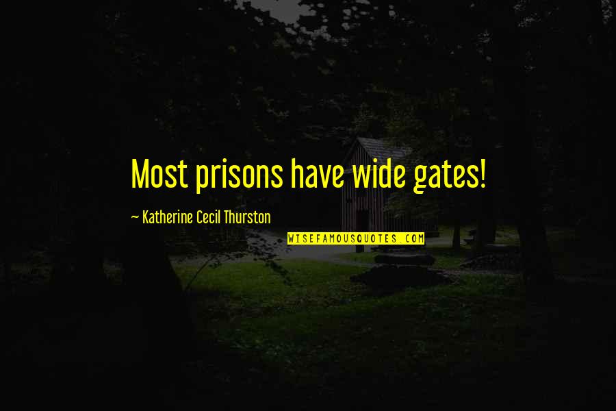 Ar15 Quotes By Katherine Cecil Thurston: Most prisons have wide gates! Ar15 Quotes By Katherine Cecil Thurston: Most prisons have wide gates!