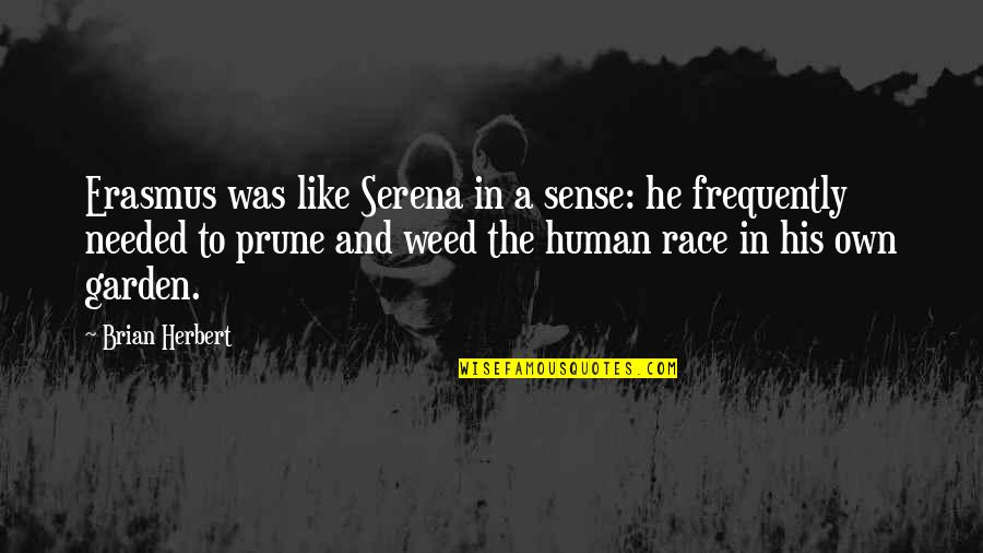 Ara Pants On Fire Quotes By Brian Herbert: Erasmus was like Serena in a sense: he