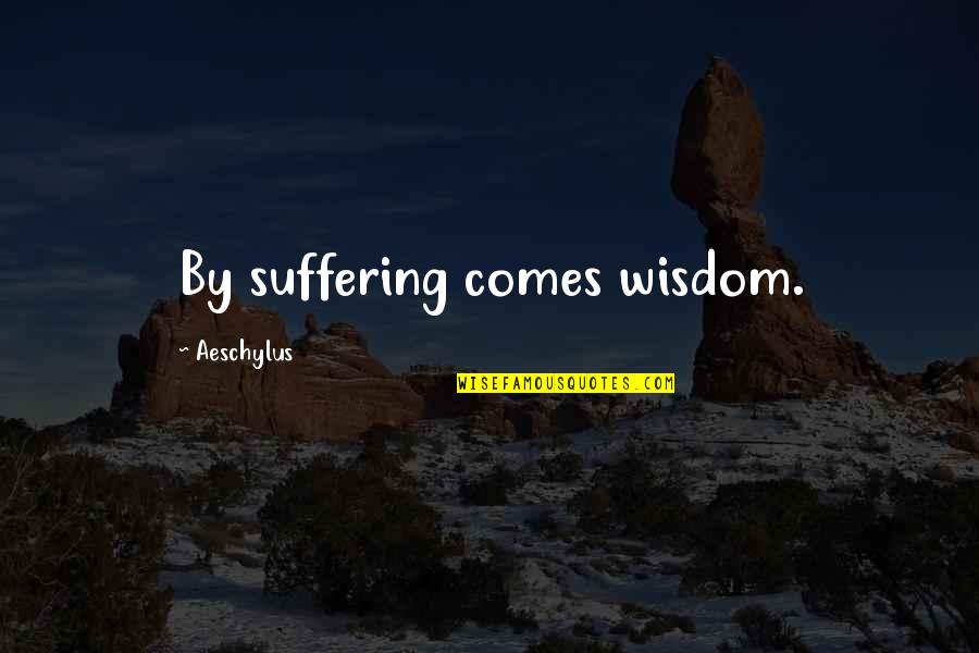 Araarakup Quotes By Aeschylus: By suffering comes wisdom. Araarakup Quotes By Aeschylus: By suffering comes wisdom.