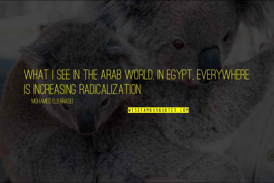 Arab World Quotes By Mohamed ElBaradei: What I see in the Arab world, in