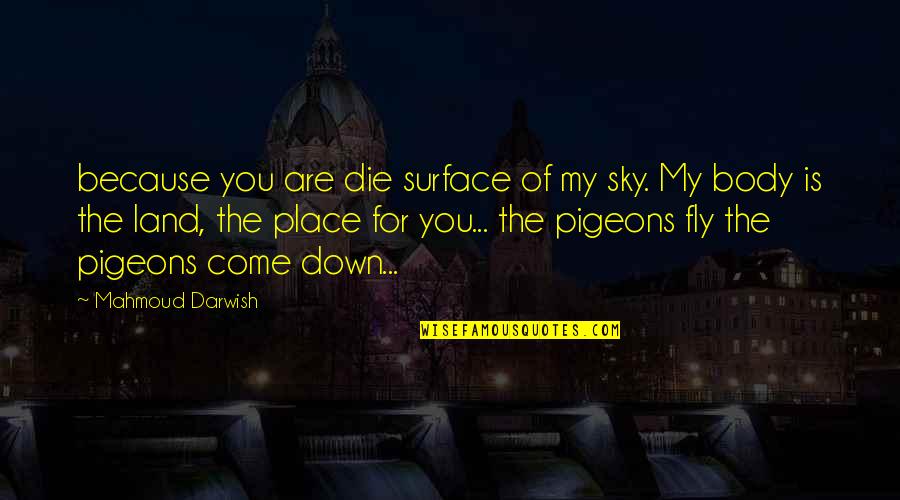 Arabic Quotes By Mahmoud Darwish: because you are die surface of my sky.