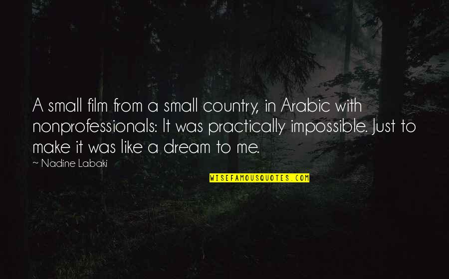 Arabic Quotes By Nadine Labaki: A small film from a small country, in