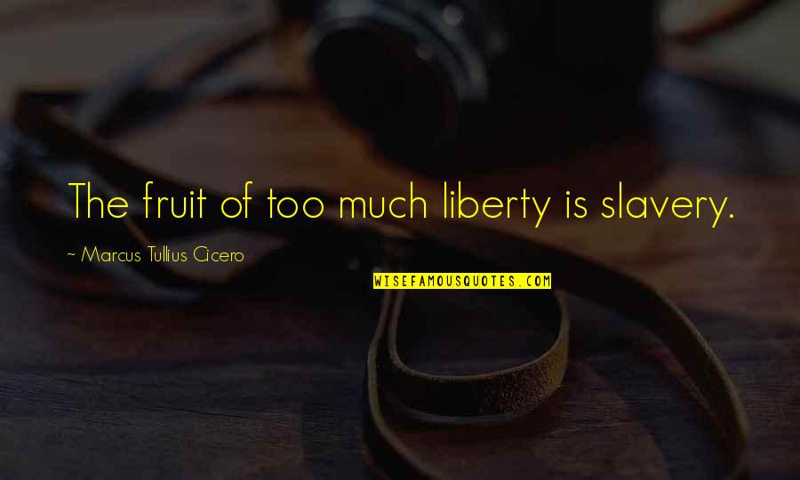 Arabshahi Bita Quotes By Marcus Tullius Cicero: The fruit of too much liberty is slavery. Arabshahi Bita Quotes By Marcus Tullius Cicero: The fruit of too much liberty is slavery.