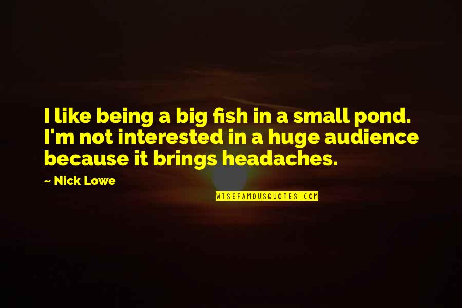 Aracama Zomato Quotes By Nick Lowe: I like being a big fish in a Aracama Zomato Quotes By Nick Lowe: I like being a big fish in a