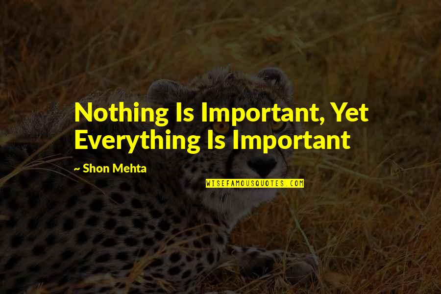 Arachchikattuwa Quotes By Shon Mehta: Nothing Is Important, Yet Everything Is Important