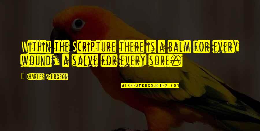 Aragonese Flag Quotes By Charles Spurgeon: Within the Scripture there is a balm for