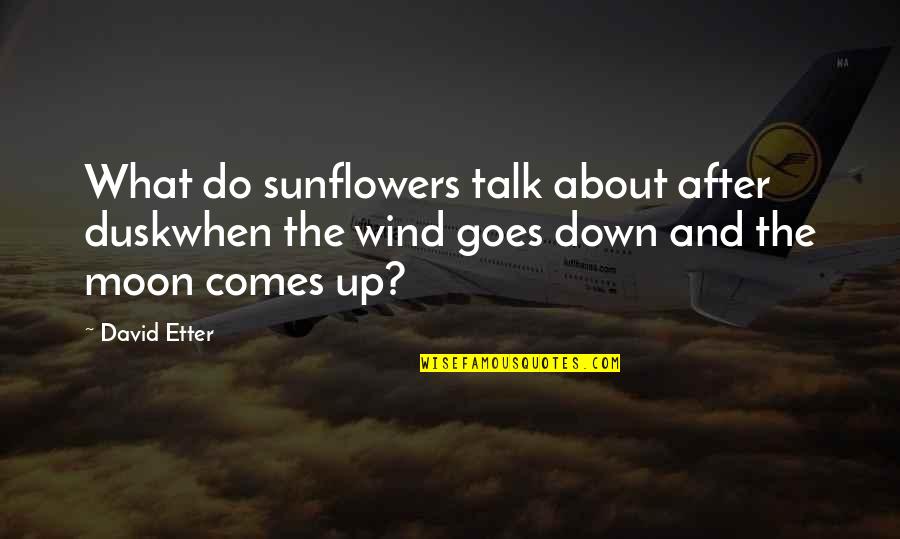 Arakcheyev Fortress Quotes By David Etter: What do sunflowers talk about after duskwhen the