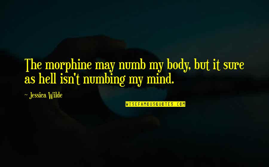 Aralan Quotes By Jessica Wilde: The morphine may numb my body, but it