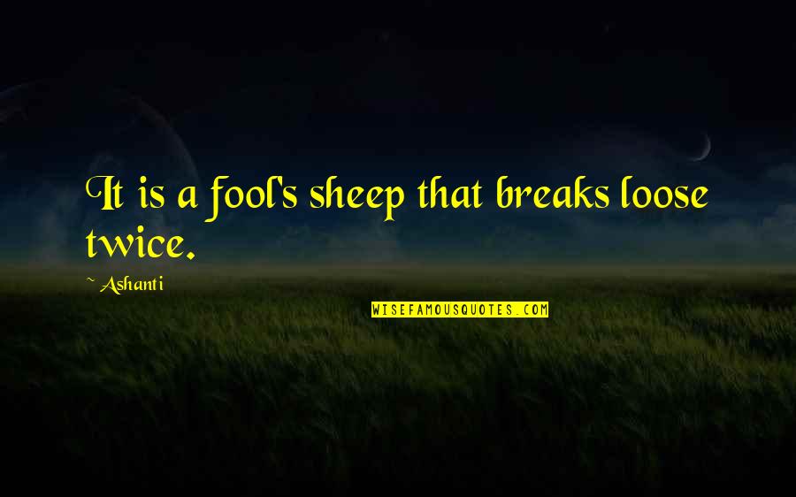 Aralorn Quotes By Ashanti: It is a fool's sheep that breaks loose