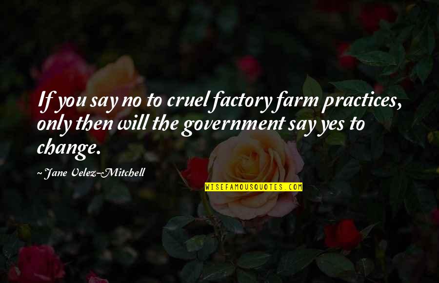 Araminta Freedom Quotes By Jane Velez-Mitchell: If you say no to cruel factory farm