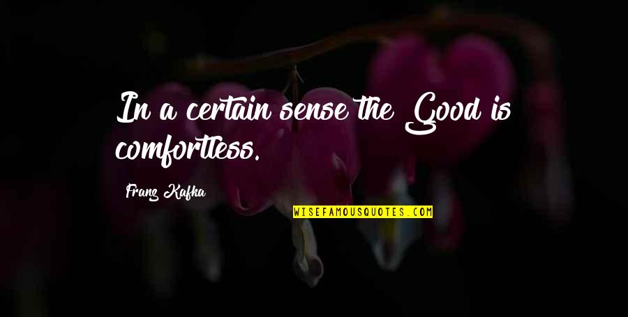 Arancibia Bail Quotes By Franz Kafka: In a certain sense the Good is comfortless.