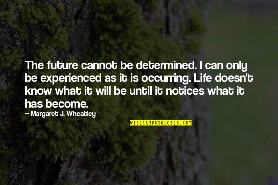 Arashi Quotes By Margaret J. Wheatley: The future cannot be determined. I can only