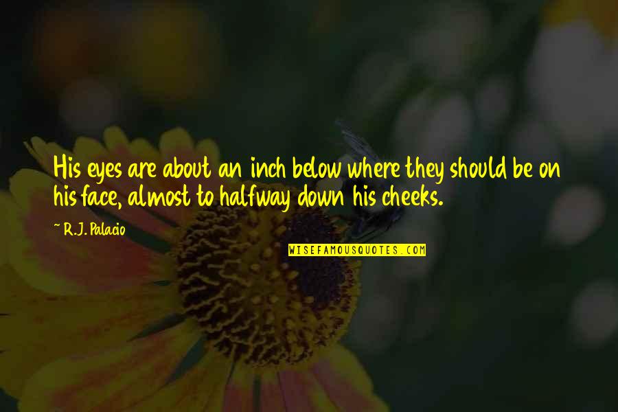Arauz Ecuador Quotes By R.J. Palacio: His eyes are about an inch below where Arauz Ecuador Quotes By R.J. Palacio: His eyes are about an inch below where