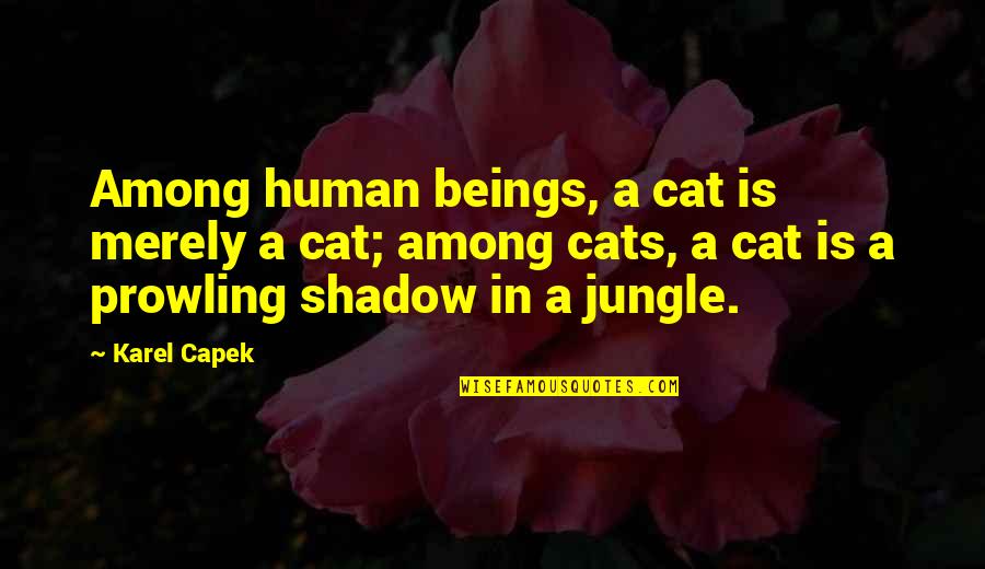 Arauz Red Quotes By Karel Capek: Among human beings, a cat is merely a
