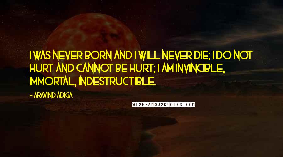 Aravind Adiga quotes: I was never born and I will never die; I do not hurt and cannot be hurt; I am invincible, immortal, indestructible.