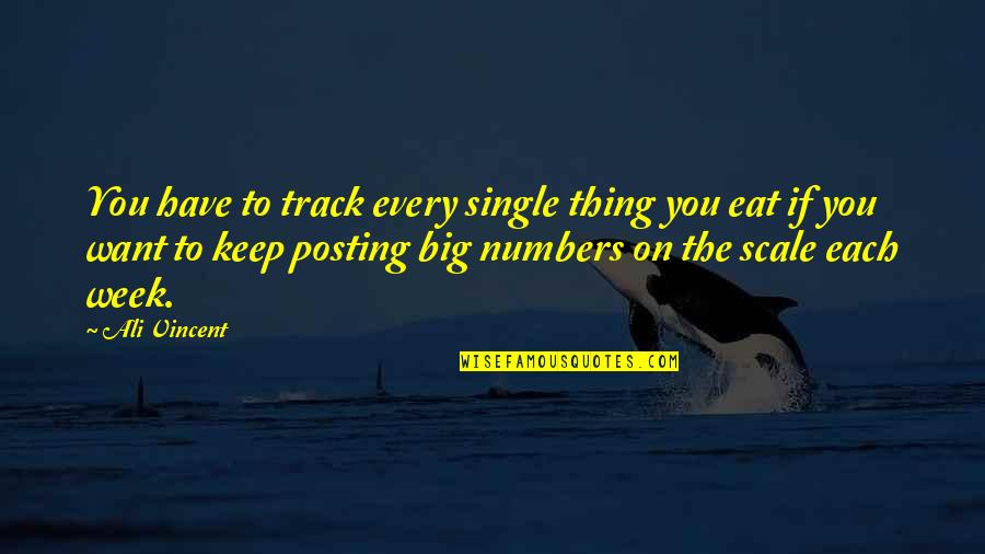 Arbanasi Quotes By Ali Vincent: You have to track every single thing you