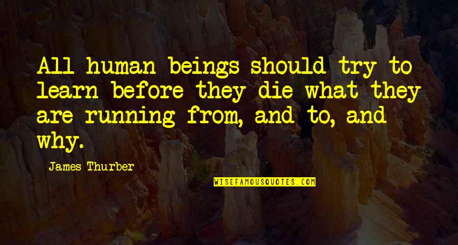 Arby's Quotes By James Thurber: All human beings should try to learn before