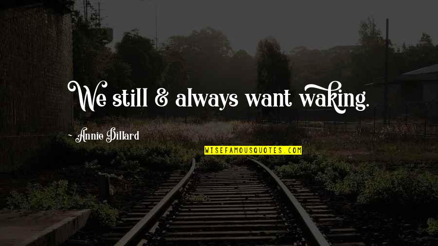 Arca My Quote Quotes By Annie Dillard: We still & always want waking. Arca My Quote Quotes By Annie Dillard: We still & always want waking.