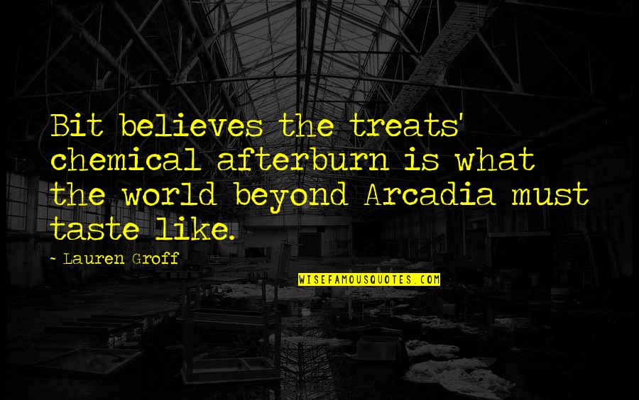 Arcadia Quotes By Lauren Groff: Bit believes the treats' chemical afterburn is what