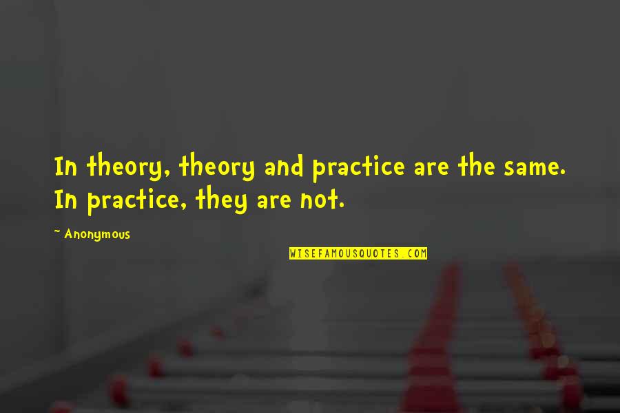 Arcadian Apartments Quotes By Anonymous: In theory, theory and practice are the same.