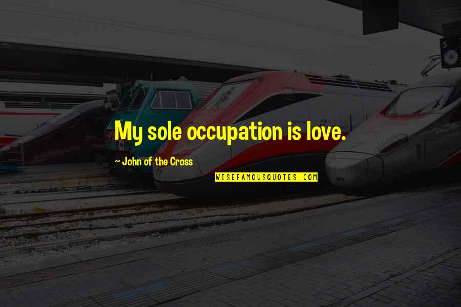 Arcadio Rodaniche Quotes By John Of The Cross: My sole occupation is love. Arcadio Rodaniche Quotes By John Of The Cross: My sole occupation is love.