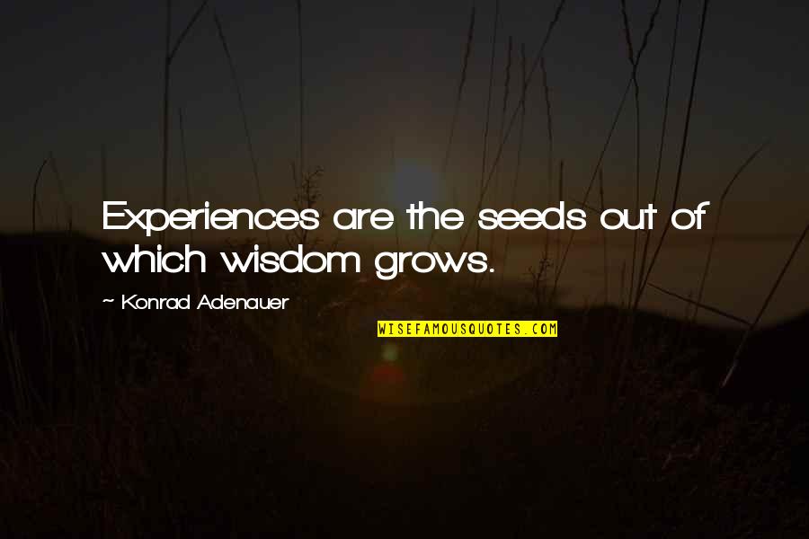 Arcasearch Quotes By Konrad Adenauer: Experiences are the seeds out of which wisdom