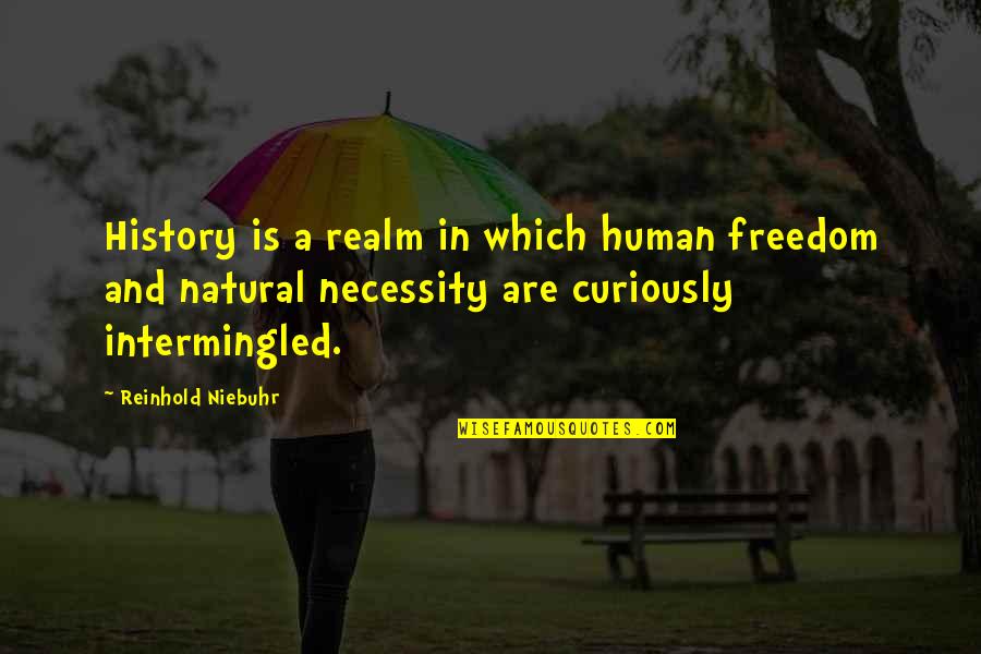 Arcato Quotes By Reinhold Niebuhr: History is a realm in which human freedom