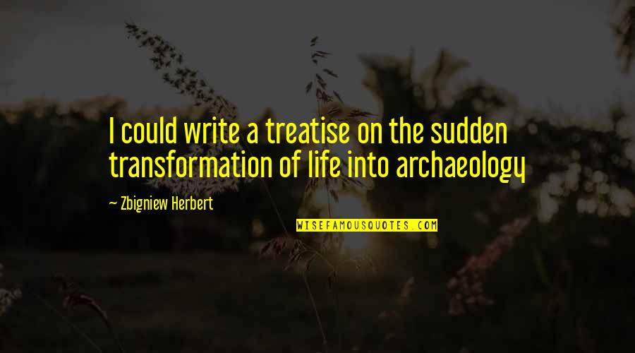 Archaeology Quotes By Zbigniew Herbert: I could write a treatise on the sudden