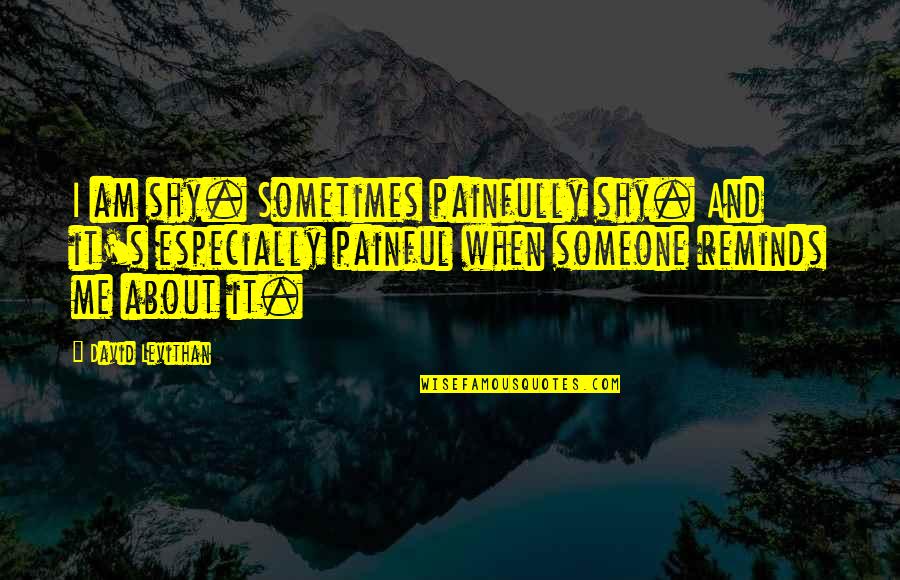 Archambault Funeral Home Quotes By David Levithan: I am shy. Sometimes painfully shy. And it's