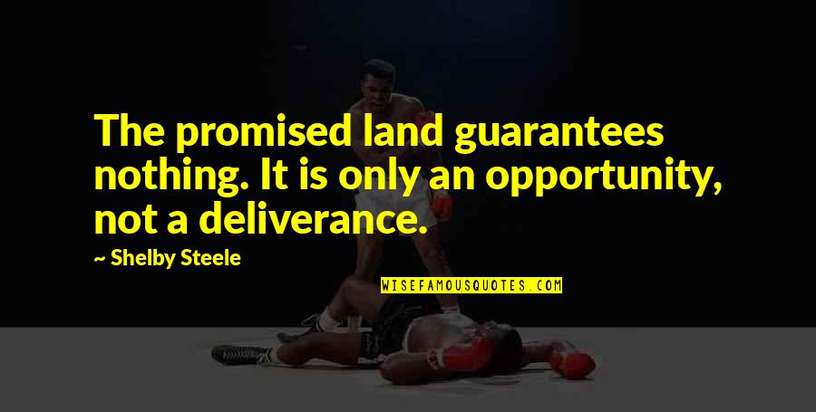 Archana Kavi Quotes By Shelby Steele: The promised land guarantees nothing. It is only