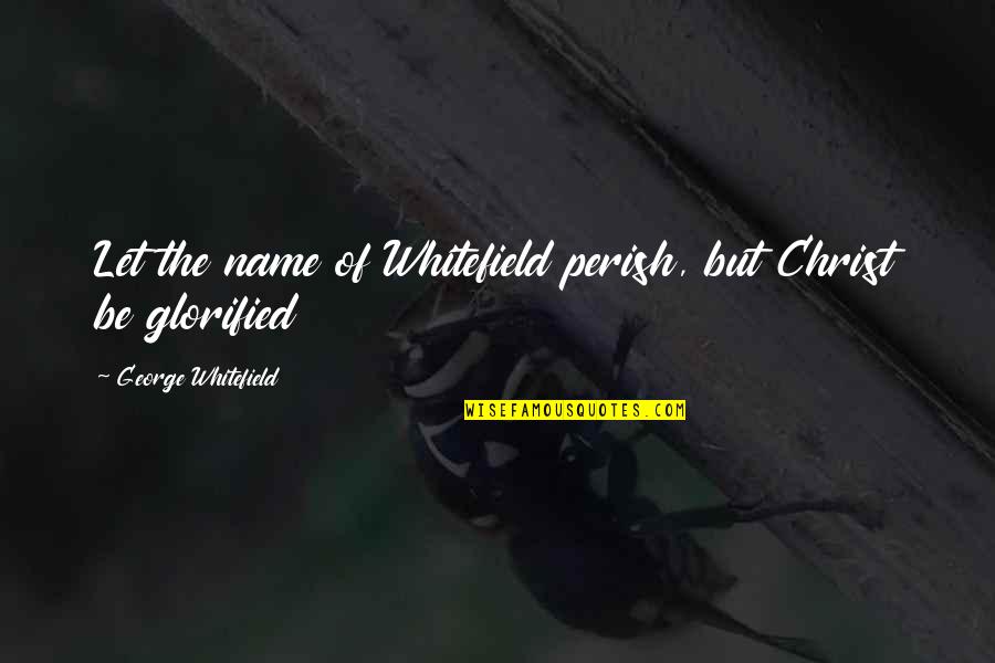 Archangel's Shadows Quotes By George Whitefield: Let the name of Whitefield perish, but Christ
