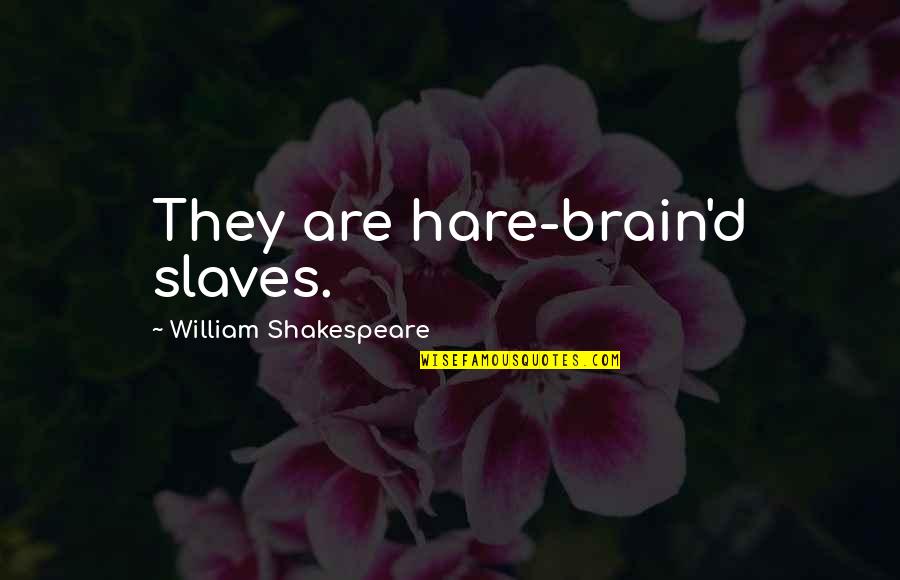 Archchancellor's Quotes By William Shakespeare: They are hare-brain'd slaves.